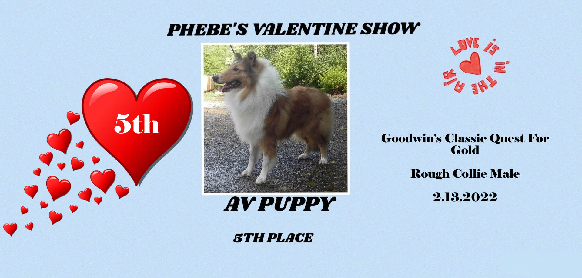 Classic Kennels Show Brags Classic Kennels